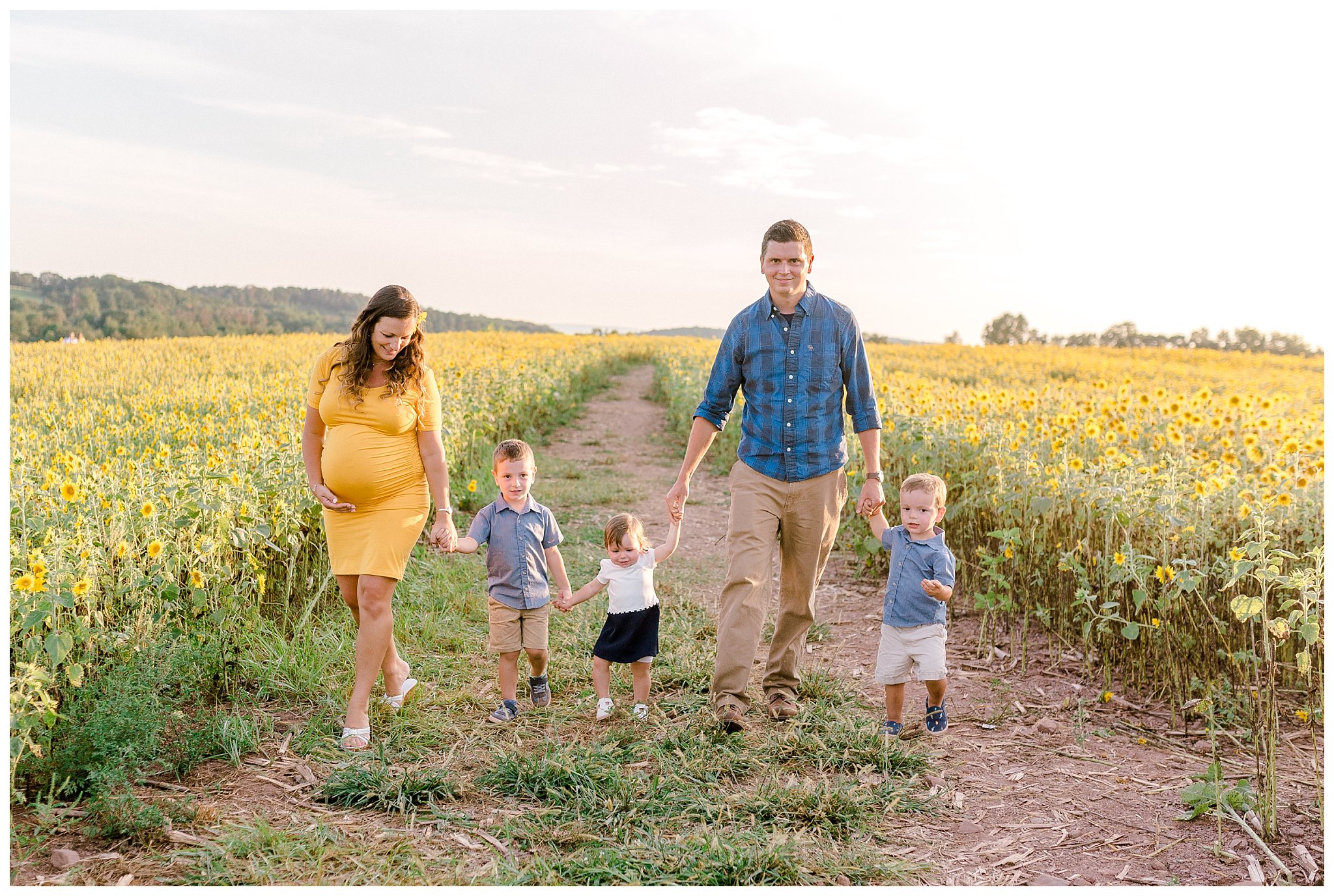 sunflower field maternity session